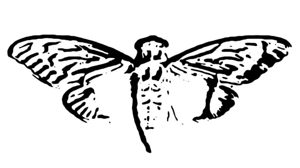 Cicada 3301 Cicada 3301