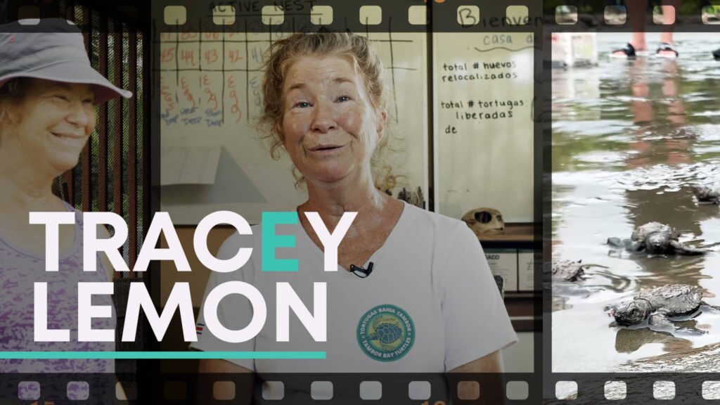 Tracey Lemon Thumbnail 2