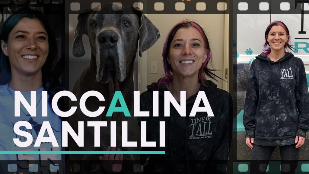 Niccalina Santilli Thumbnail